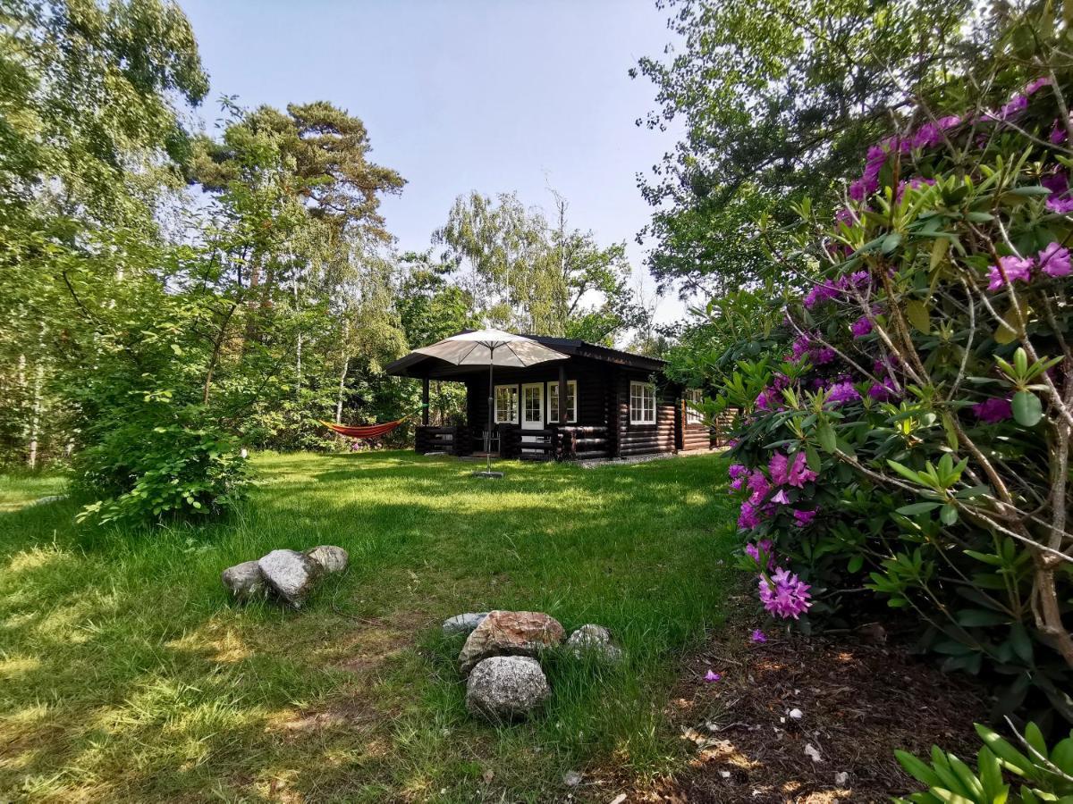 Scandinavian Lodges 홀텐 외부 사진